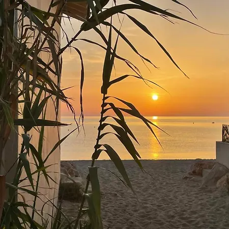 Renove A 500m Plages Avec Climatisation Et Parking - Fr-1-776-104 Apartmán Argelès-sur-Mer