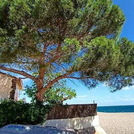 Renove A 500m Plages Avec Climatisation Et Parking - Fr-1-776-104 Apartmán Argelès-sur-Mer